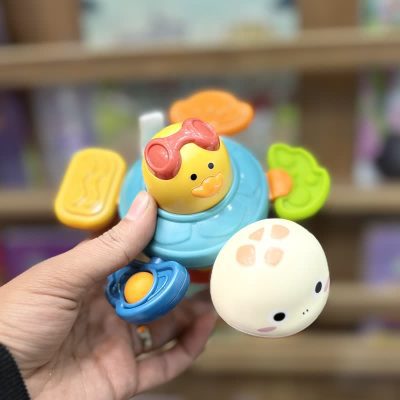 لاکپشت دستورزی