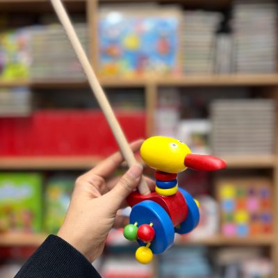 راهبر چوبی اردک نوک تیز