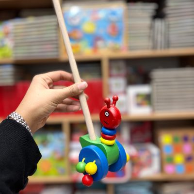 راهبر چوبی مورچه