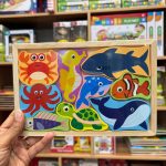 کاتامینو مستطیلی دریایی