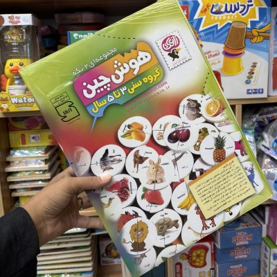 هوشچین دو تکه واقعی