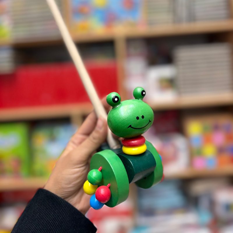 d624d281-5f22-47da-9356-da3653b93668 راهبر چوبی قورباغه