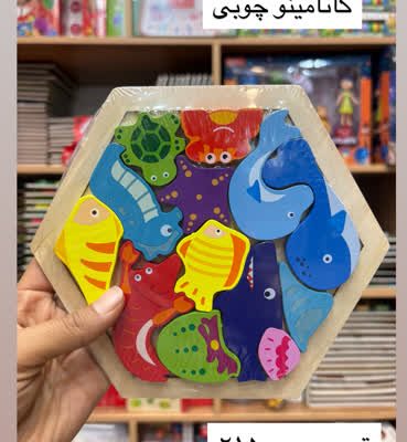 کاتامینو 6ضلعی دریایی