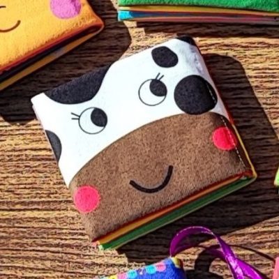 کتاب پارچه ای جیبی اهلی