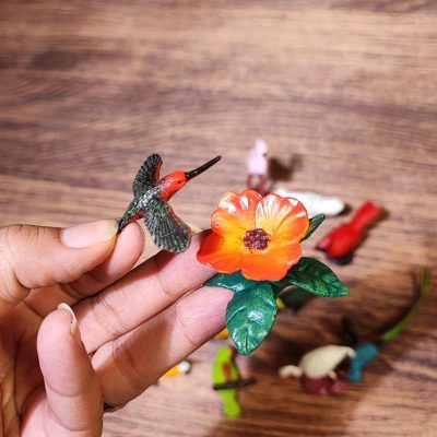 فیگور مرغ مگس خوار