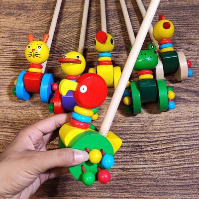 راهبر چوبی طوطی