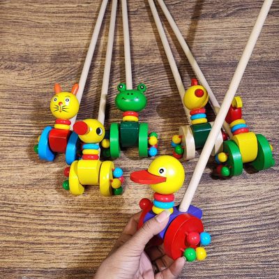 راهبر چوبی اردک نوک پهن