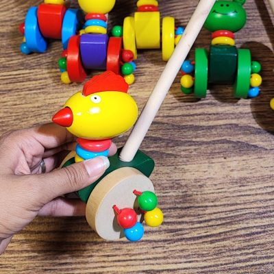 راهبر چوبی جوجه