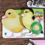 کتاب لمسی حس میکنم اردک