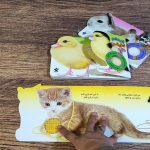 کتاب لمسی حس میکنم گربه