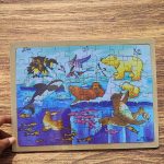 پازل کفی داردورکرم قطبی