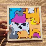 کاتامینومربعی اهلی