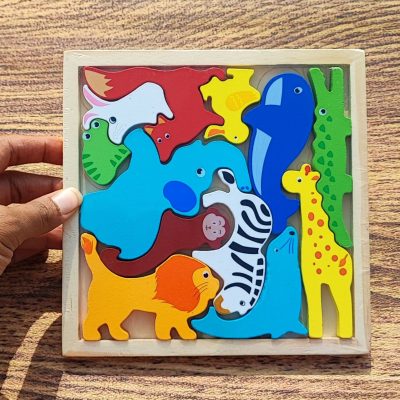 کاتامینومربعی جنگل