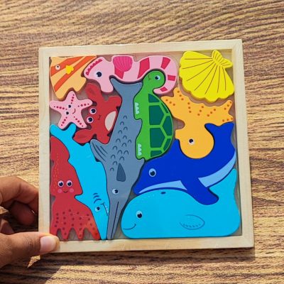 کاتامینومربعی دریایی