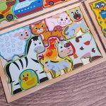 کاتامینومستطیلی اهلی