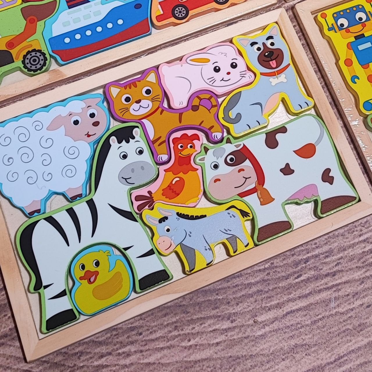 photo_2025-08-27_12-38-36 کاتامینومستطیلی اهلی