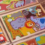 کاتامینو مستطیلی جنگل