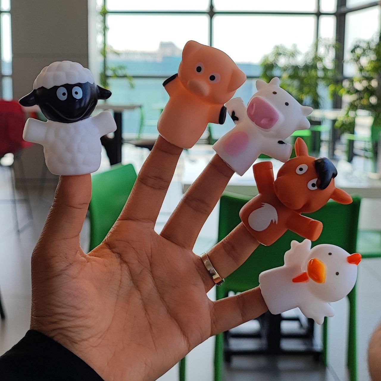 photo_2025-08-27_13-23-43 عروسک انگشتی سیلیکونی مرغ و الاغ