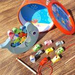 ماهیگیری تعادلی