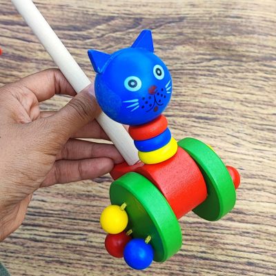 راهبر چوبی گربه آبی