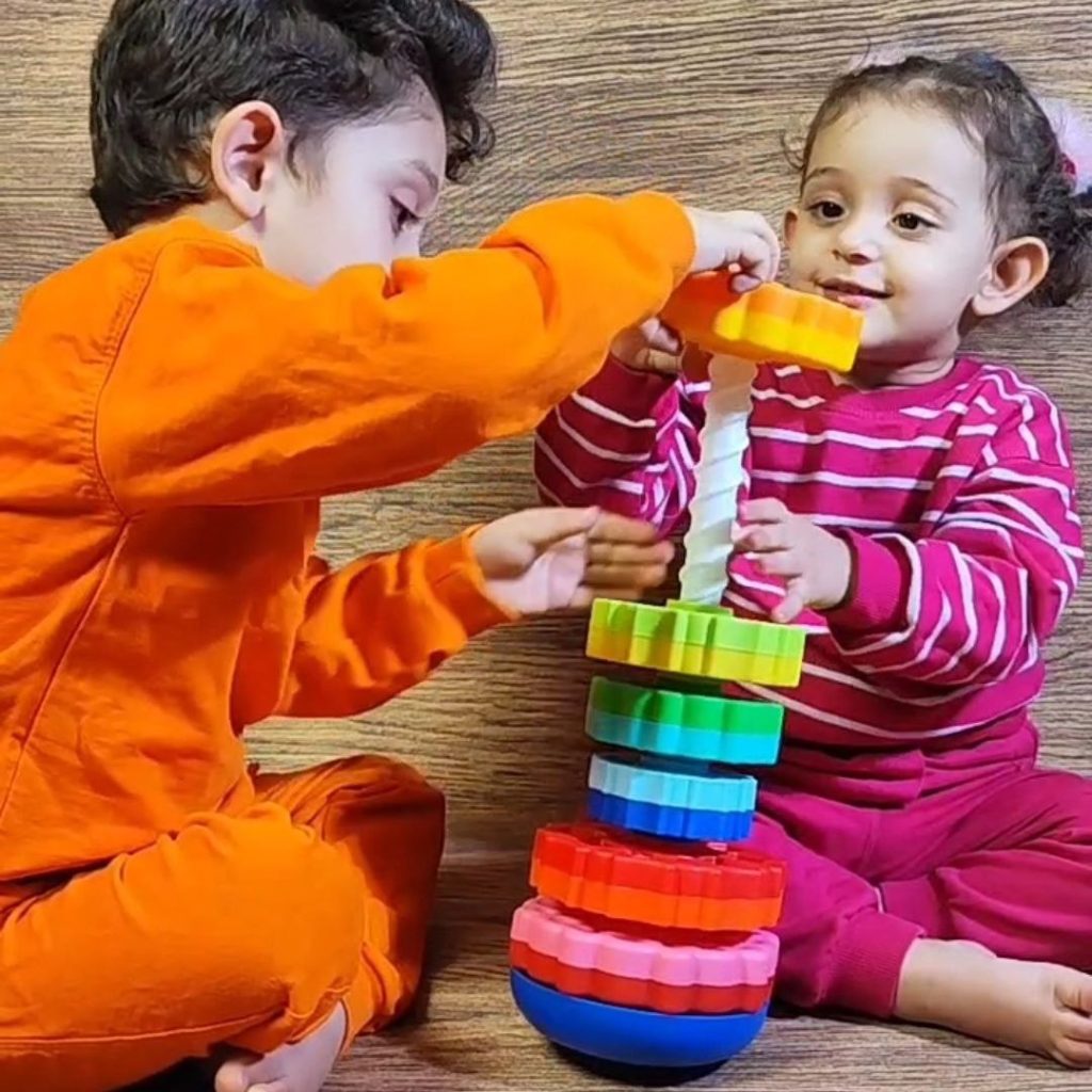 گردونه هوش نیکوتویز