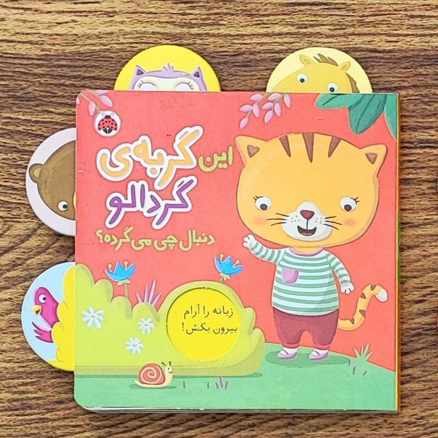 photo_2025-08-30_14-13-17 کتاب دنبال چی میگرده گربه ی گردالو