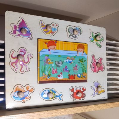 پازل پین دار دریایی وسط عکس