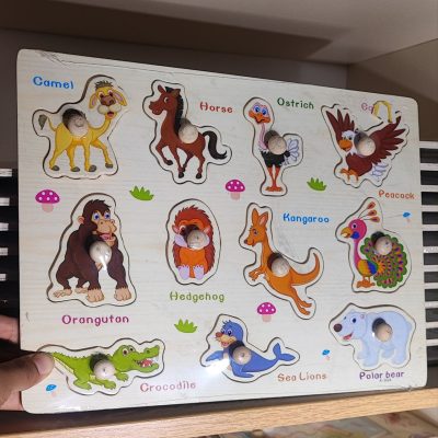 پازل پین دار وسط بالا شترمرغ