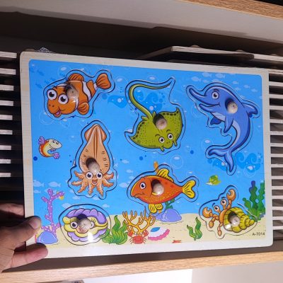 پازل پین دار چپ پایین صدف دریایی