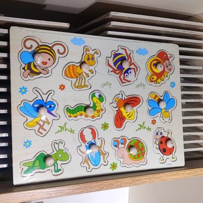 پازل پین دار حشرات راست پایین کفشدوزک