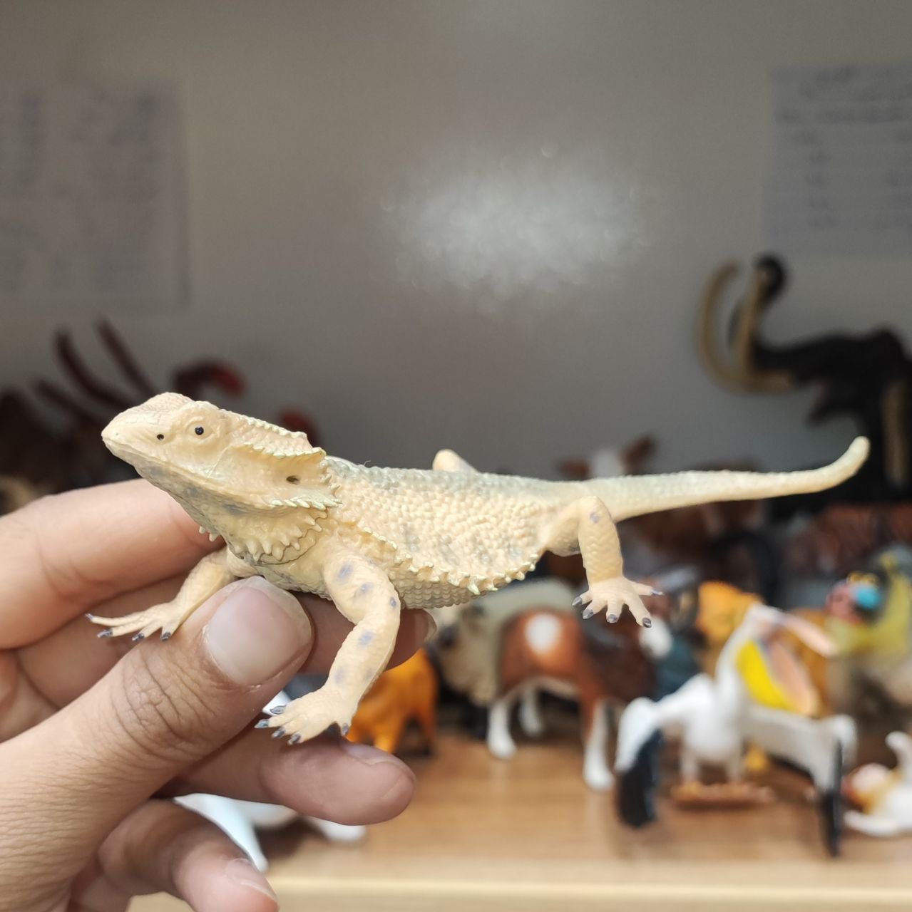 photo_2025-08-30_14-39-11 فیگور آفتاب پرست اورجینال