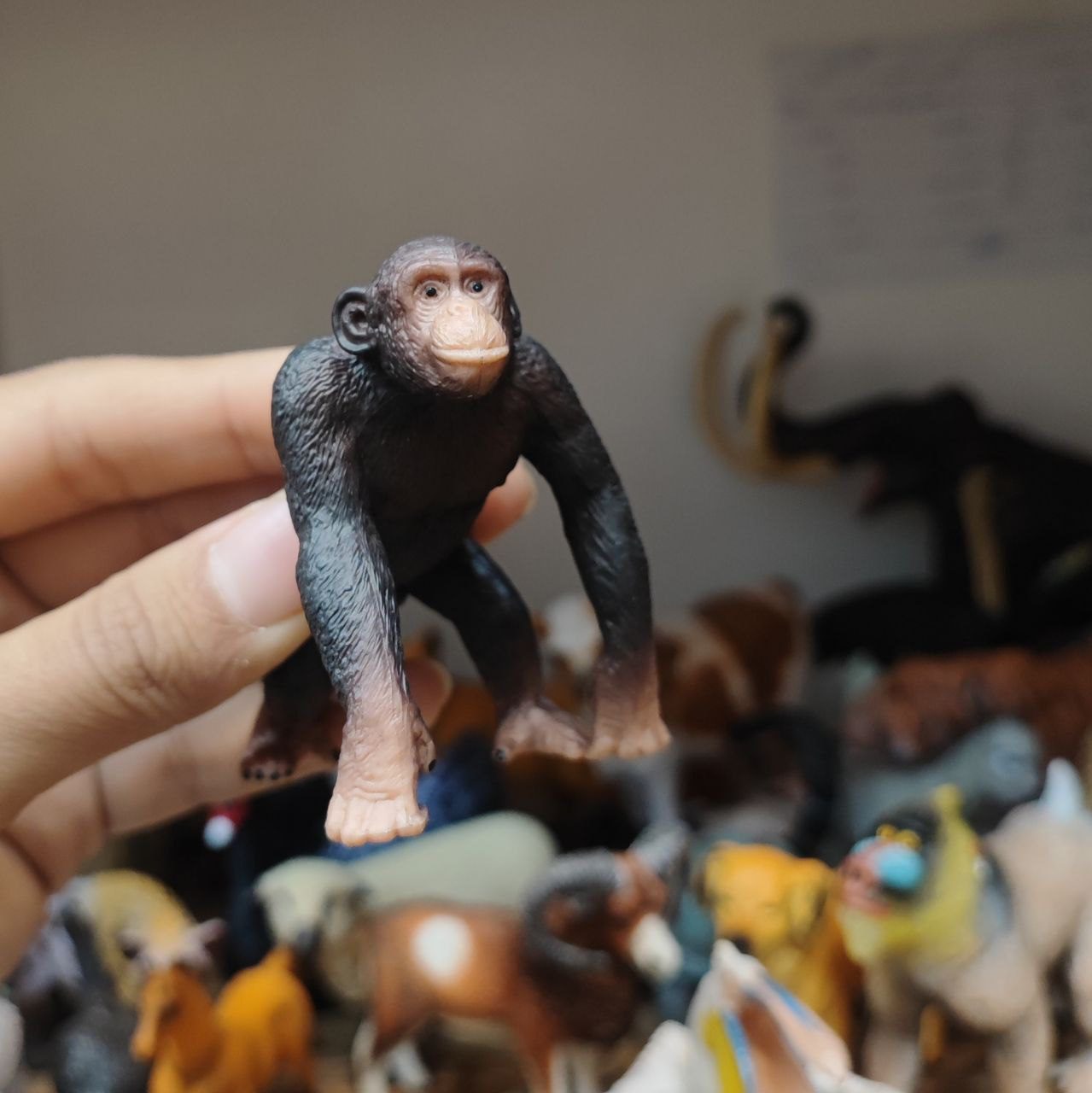 photo_2025-08-30_14-40-53 فیگور میمون اورجینال