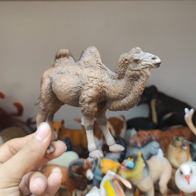 فیگور شتر دو کوهان اورجینال