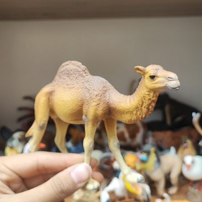 فیگور شتر تک کوهان اورجینال