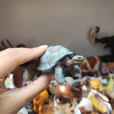 فیگور لاک‌پشت کوچک اورجینال