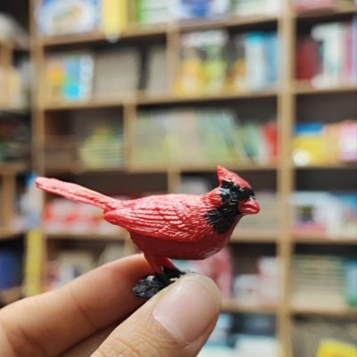 فیگور کاردینال شمالی