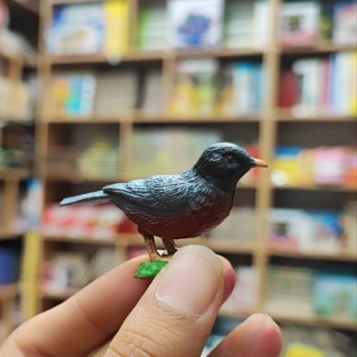 فیگور پاروس دیویدی