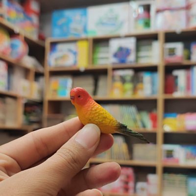 فیگور مرغ عشق