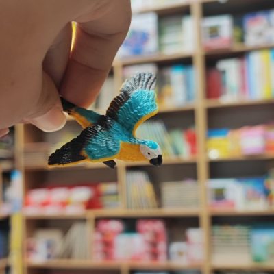 فیگور طوطی ماکائو