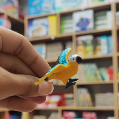 فیگور طوطی ماکائو