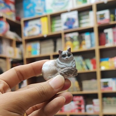 فیگور گربه راگ دال