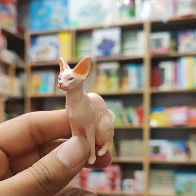 فیگور گربه بی مو