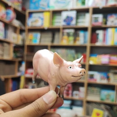 فیگور خوک متوسط