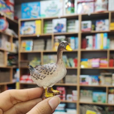 فیگور اردک متوسط