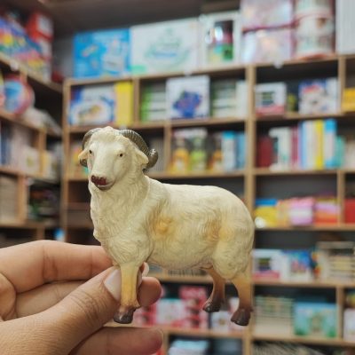 فیگور گوسفند متوسط