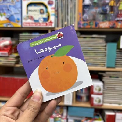 جیبی میوه ها