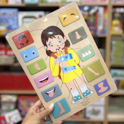 پازل چوبی اندام های داخلی دختر