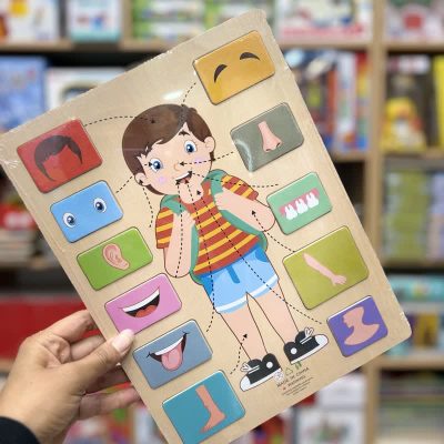 پازل چوبی اندام های داخلی دختر