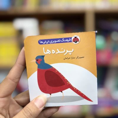 جیبی پرنده ها