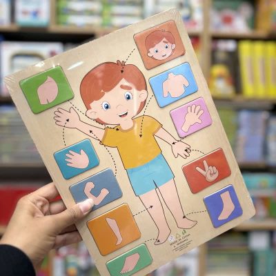 پازل چوبی اندام های داخلی دختر